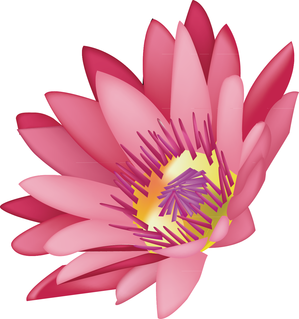 Svg Library Stock Lotus Decoration Design Graphics - Lotus Flower Vector (1200x1282), Png Download