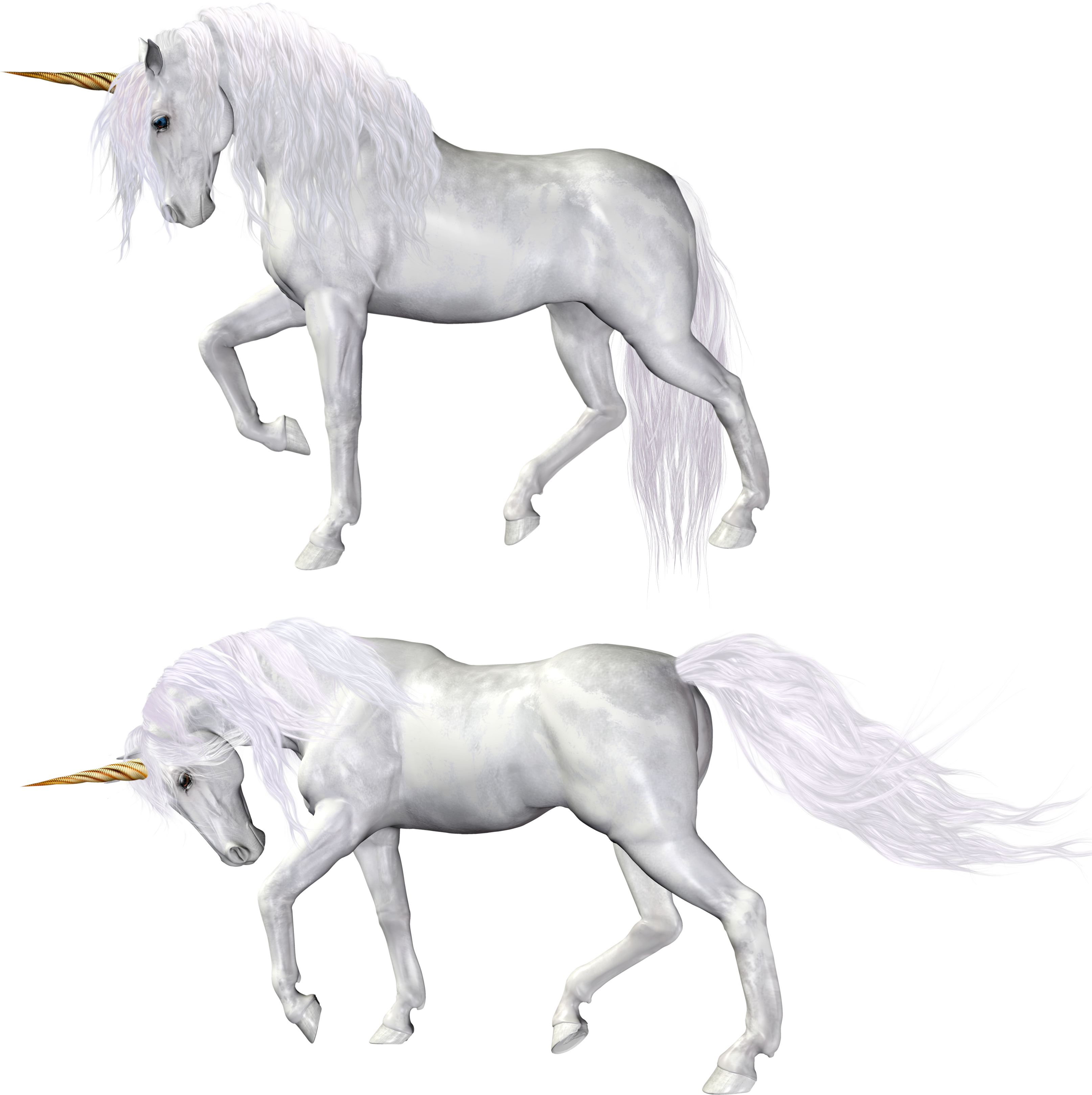 Unicorn (3228x3235), Png Download