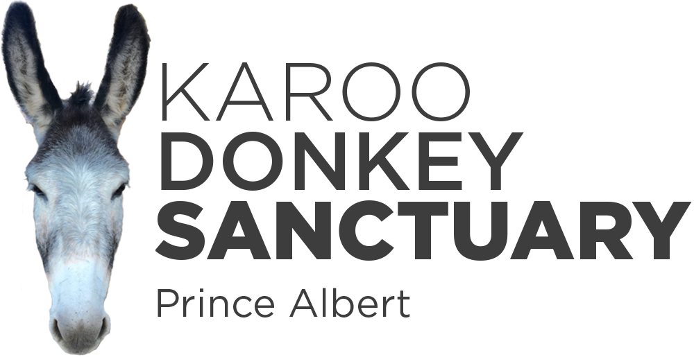 Logo Dark-1 - Prince Albert Donkey Sanctuary (1000x515), Png Download