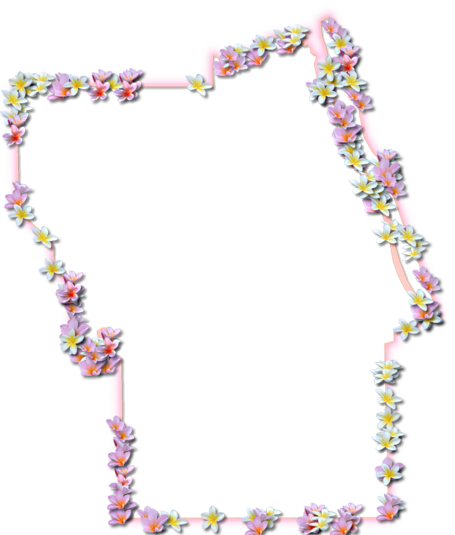 Suitable For The Following Themes - Frame Windows Flower Png (653x768), Png Download