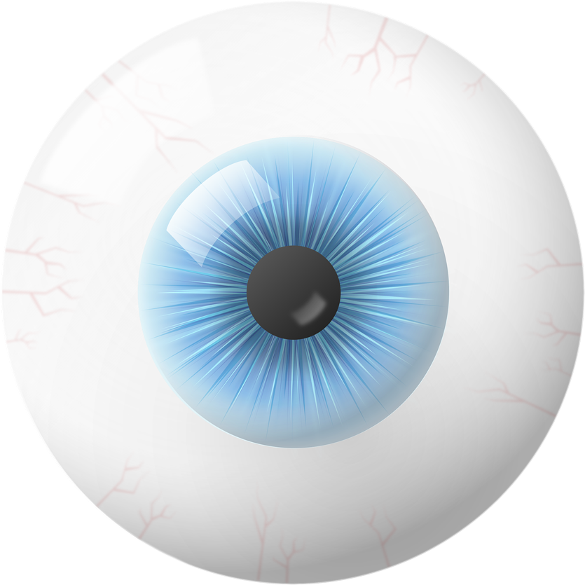 What's Inside An Eye - Eye Globe (1000x1003), Png Download