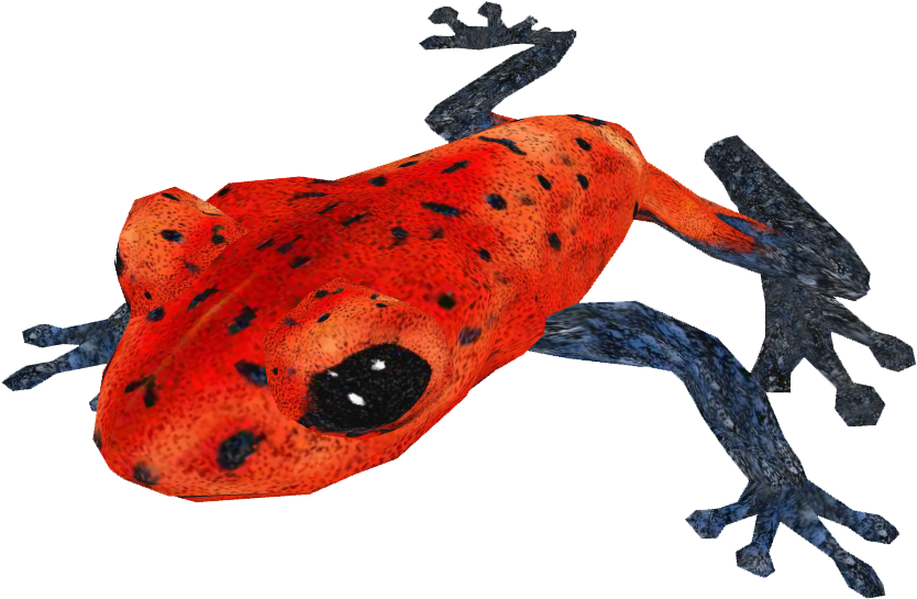 Poison Dart Frog Png Transparent Hd Photo - Poison Dart Frog Png (931x594), Png Download