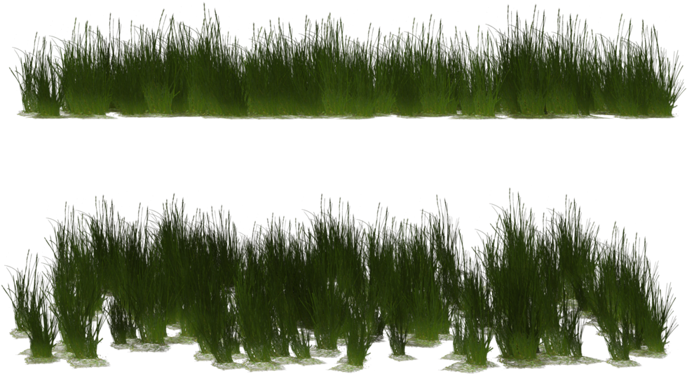 Transparent 3d Grass Png (1024x639), Png Download