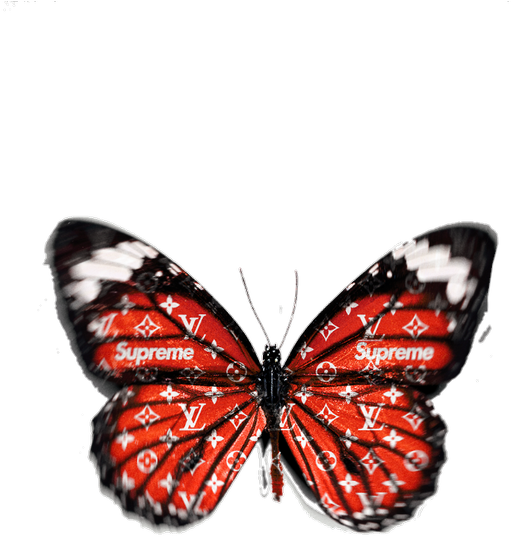 Mariposa, Overlay, And Png Image - Dreams Huatulco (750x750), Png Download