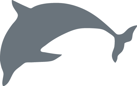 28 Am 9488 Hover 9/19/2014 - College Of Staten Island Dolphin (449x282), Png Download