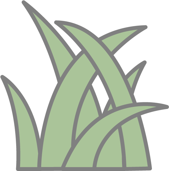 View All Images-1 - 草 アイコン (640x640), Png Download