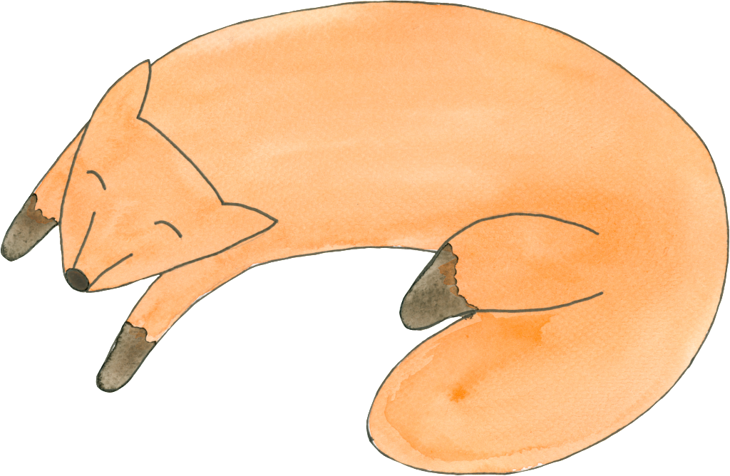 Sleepy Cute Fox Cartoon Transparent - Cartoon (1024x668), Png Download