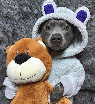 Sleepy - Sleep (540x360), Png Download