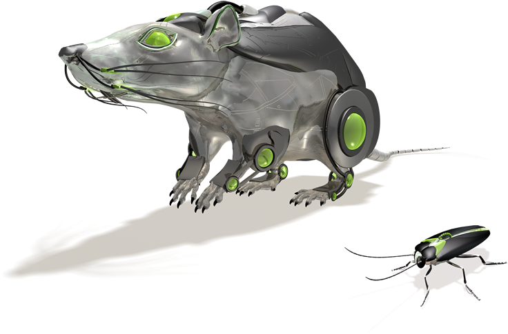 Cockroack-rodent - Leaf Beetle (800x566), Png Download