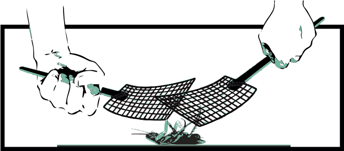 Cucarachas Características Y Como Matarlas - Pest Control (708x349), Png Download