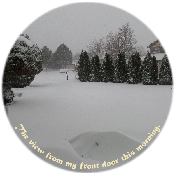 While The Snowfall In Most Of Our Driveway Was No Higher - 13 Anos (600x600), Png Download