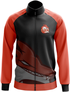 Guile Esports Jacket - Clothing (480x480), Png Download