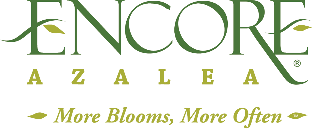 All Encore Azaleas Have Beautiful Flowers, I Have Always - Encore Azalea Logo (1188x494), Png Download