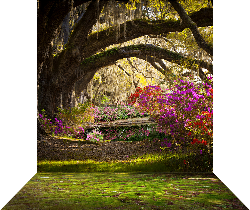 Imagini Cu Peisaje De Primavara (1000x1000), Png Download