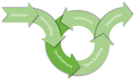The Employee Lifecycle - Employee Lifecycle (550x326), Png Download