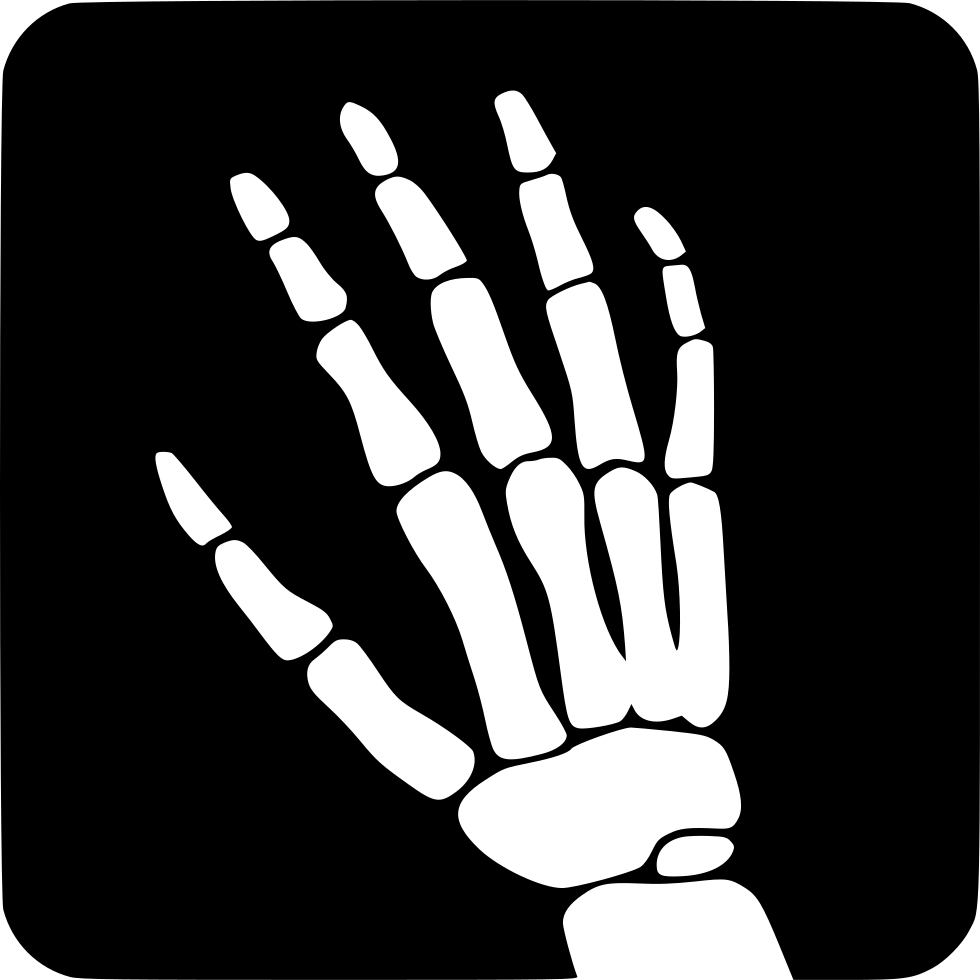 Png File Svg - Xray Icon (980x980), Png Download