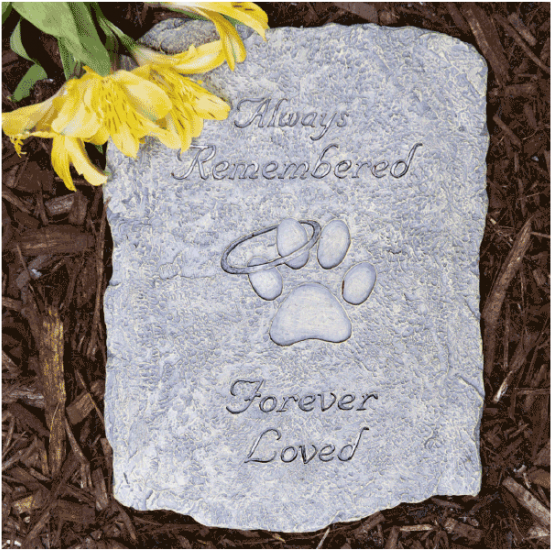 Reflections By Claudia, Memory Lamps, Cremation Jewelry, - Reflections By Claudia (733x550), Png Download