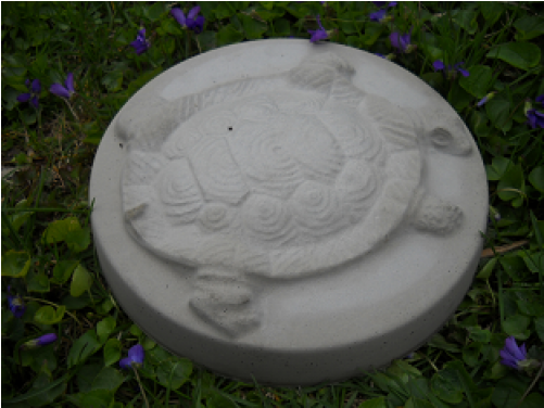 Grass (500x500), Png Download