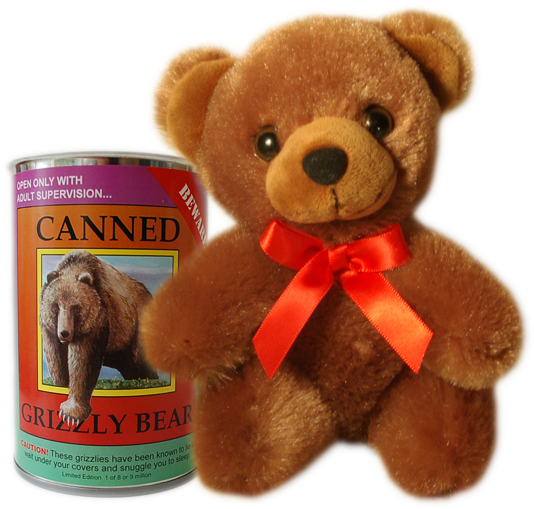 6" Canned Grizzly Bear - Grizzly Bear (1987x2048), Png Download