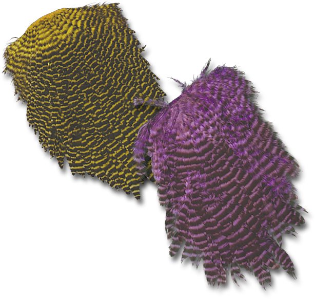 Grizzly Hen Saddles - Chicken (650x650), Png Download