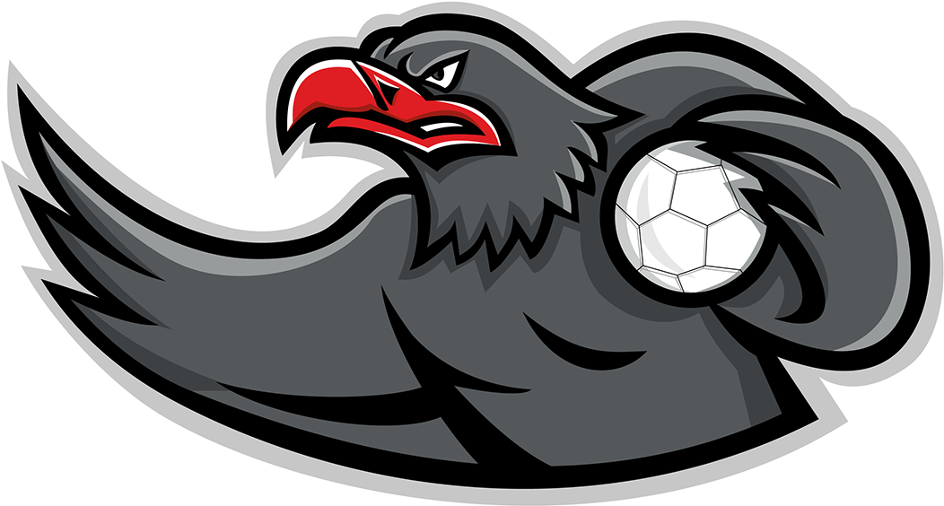Mascot Icon Illustration Of Bust Of An Eagle Handball - Handball (1400x1400), Png Download