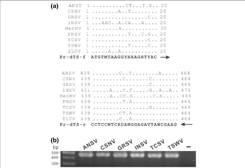 Download - Fig.1 (850x583), Png Download