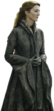 Catelyn Stark Red Wedding (330x412), Png Download