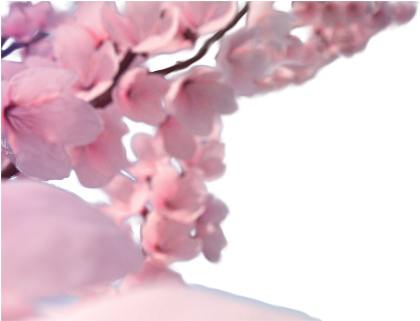 All New - Blurred Flowers Transparent Png (431x320), Png Download