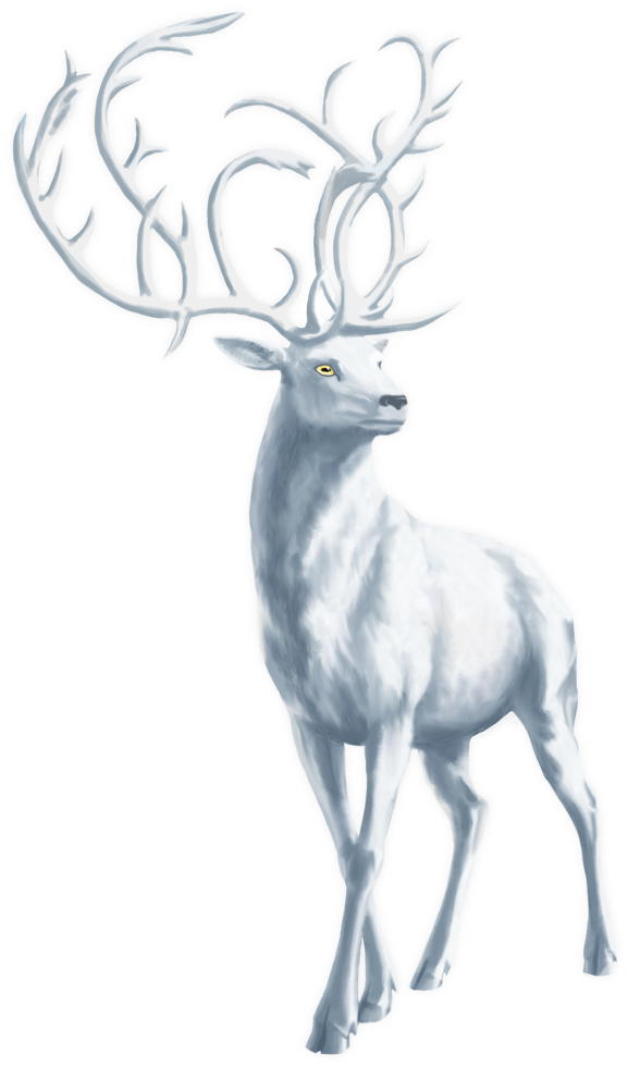 Deer Art - Stag Transparent Background (648x1000), Png Download