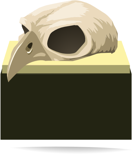 How To Set Use Firebog Rook Hall Skull Deco Icon Png - Skull (600x532), Png Download