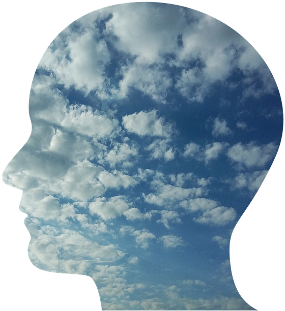 The Symptoms Of Low Testosterone Crept Up On Me Over - Dhammapada Verse 1 (720x720), Png Download