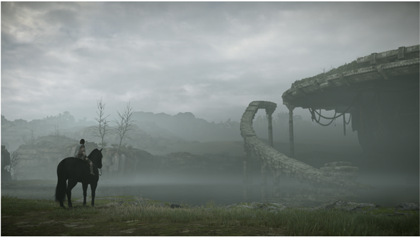 La Trama Next - Falax Shadow Of The Colossus (593x443), Png Download