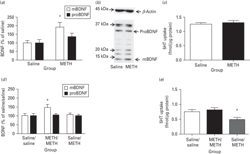 Prior Meth Self Administration Increases Mbdnf Immunoreactivity - Methamphetamine (850x526), Png Download