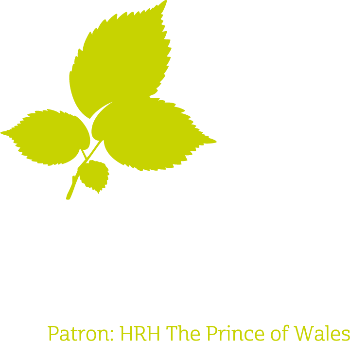 Ntj Logo Patron Reverse - National Trust Jersey (720x701), Png Download