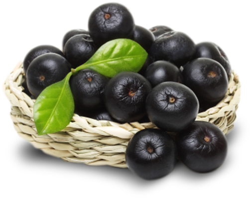 Organic Acai - Fruta Açai Em Png (502x397), Png Download