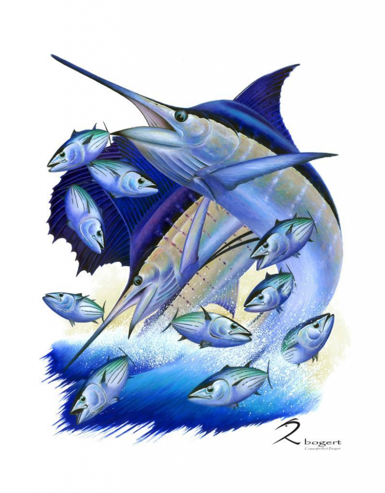 Bonito Picture Frame (1000x1000), Png Download