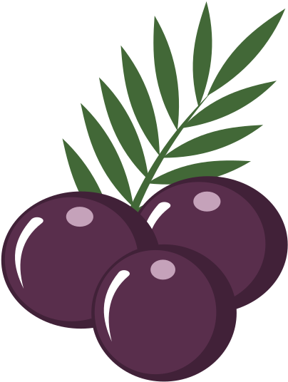 Açaí Png (1697x2400), Png Download