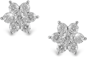 Reminisce Stud Earring - Stud Earring Transparent Png (400x500), Png Download