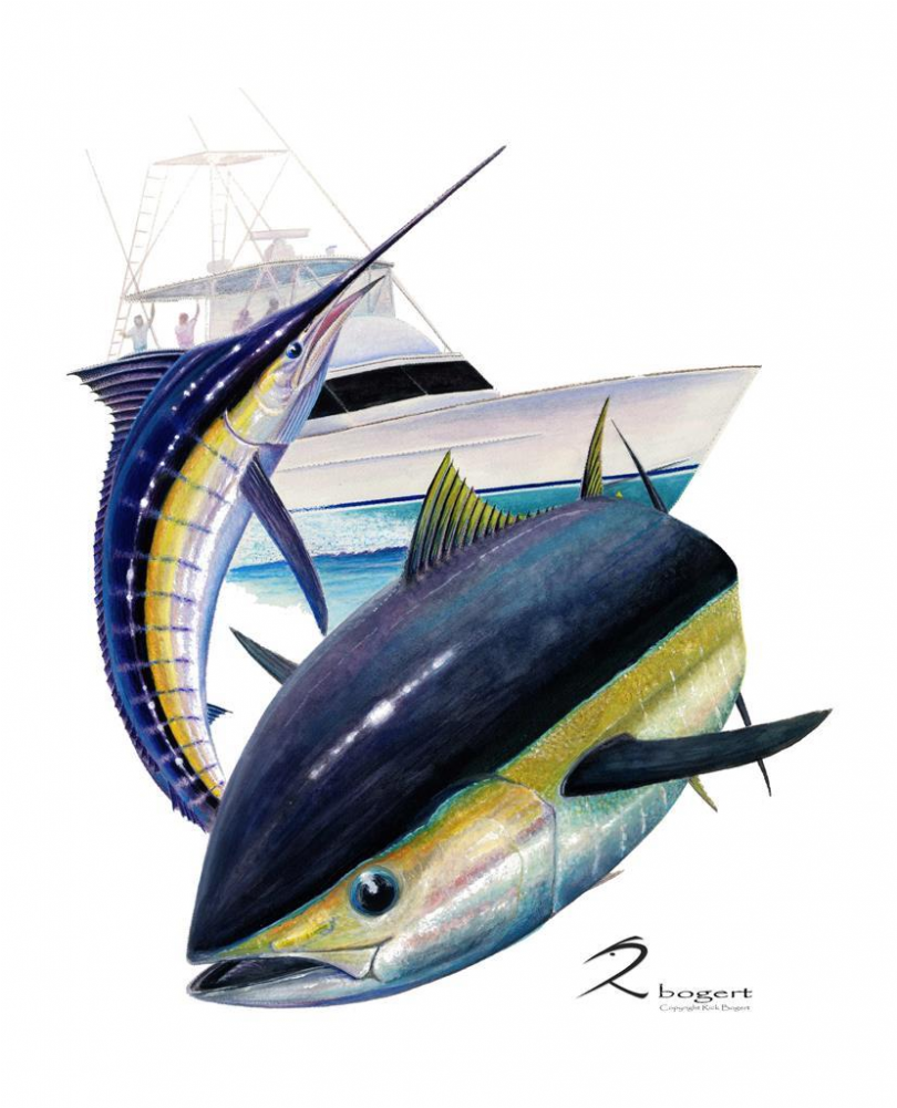 Atlantic Blue Marlin (1000x1000), Png Download