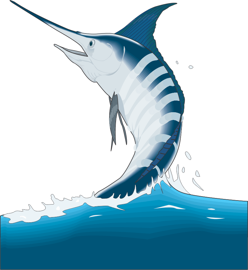 Marlin - Surf Fishing (806x878), Png Download