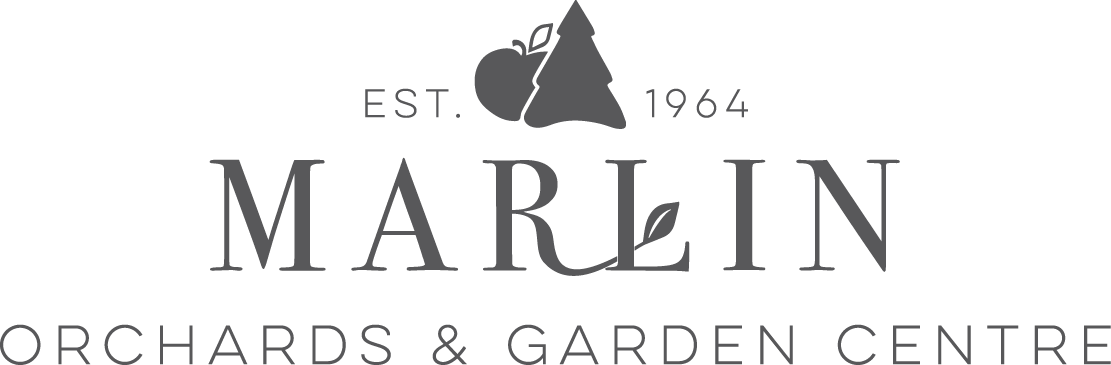 Marlin Orchards (1111x365), Png Download