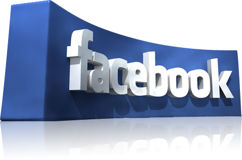 Facebook App Developer - 3d Facebook Logo Png (480x318), Png Download