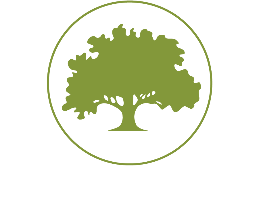 Tree Roots Silhouette (900x792), Png Download