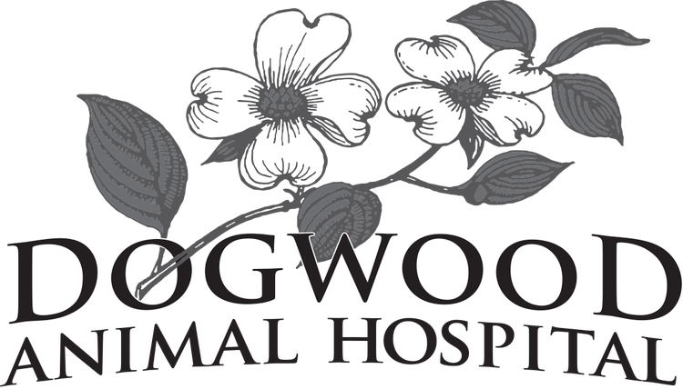 Dogwood Animal Hospital (750x428), Png Download