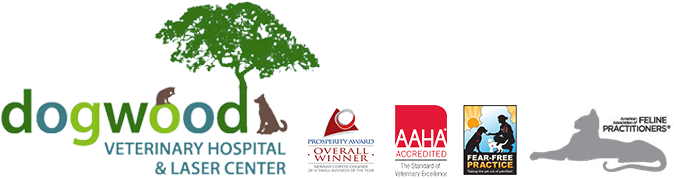 Call Us Today - Dogwood Veterinary Hospital And Laser Center (678x200), Png Download