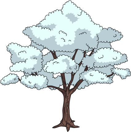 Dogwood Tree - Illustration (428x477), Png Download