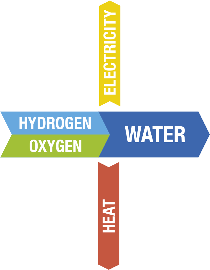 Hydrogen Is Fed To The Anode Where Catalysis Releases - Graphic Design (900x910), Png Download