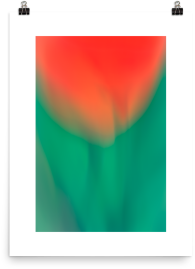 Tulip Motion Blur - Aurora (600x600), Png Download