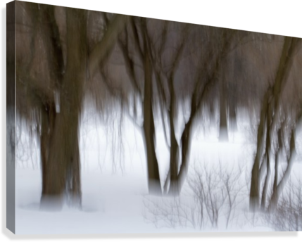 Motion Blur Of Trees - Motion Blur Of Trees; Quebec, Canada Poster (429x344), Png Download