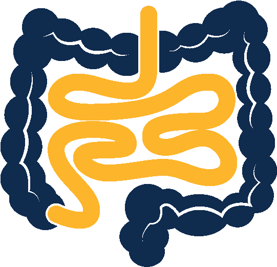 Colon - Dnalite Therapeutics, Inc. (1000x1000), Png Download